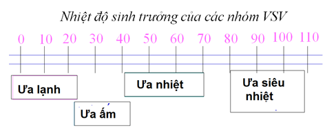 Trả lời câu hỏi Sinh 10 nâng cao Bài 41 trang 137 | Giải bài tập Sinh học lớp 10 nâng cao hay nhất Tra Loi Cau Hoi Sinh 10 Nang Cao Bai 41 Trang 137 1