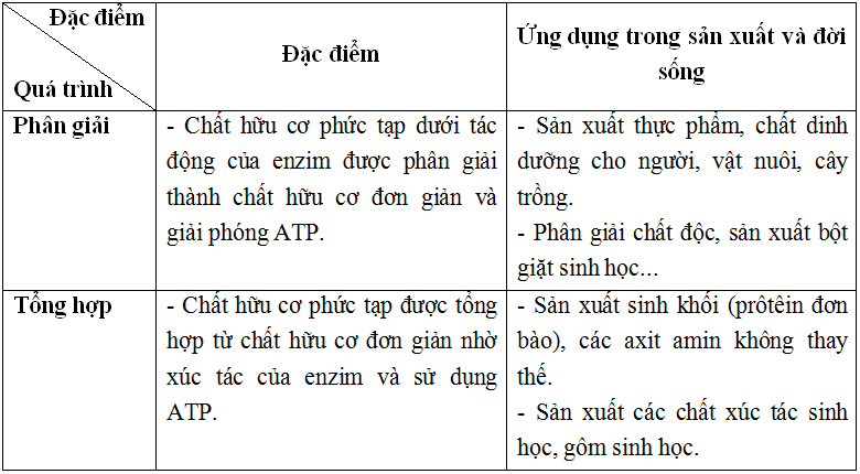 Trả lời câu hỏi Sinh 10 nâng cao Bài 48 trang 160 | Giải bài tập Sinh học lớp 10 nâng cao hay nhất Tra Loi Cau Hoi Sinh 10 Nang Cao Bai 48 Trang 160 1