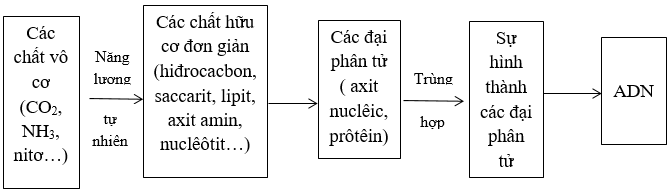 Bài 2 trang 180 sgk Sinh học 12 nâng cao | Giải bài tập Sinh học lớp 12 nâng cao hay nhất Bai 2 Trang 180 Sgk Sinh Hoc 12 Nang Cao 1