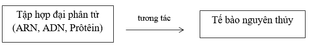 Bài 2 trang 180 sgk Sinh học 12 nâng cao | Giải bài tập Sinh học lớp 12 nâng cao hay nhất Bai 2 Trang 180 Sgk Sinh Hoc 12 Nang Cao 2