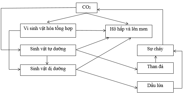 Bài 2 trang 254 sgk Sinh học 12 nâng cao | Giải bài tập Sinh học lớp 12 nâng cao hay nhất Bai 2 Trang 254 Sgk Sinh Hoc 12 Nang Cao 1