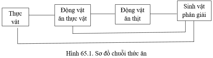 Bài 8 trang 269 sgk Sinh học 12 nâng cao | Giải bài tập Sinh học lớp 12 nâng cao hay nhất Bai 8 Trang 269 Sgk Sinh Hoc 12 Nang Cao 2