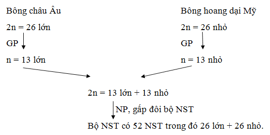 Giải bài tập Sinh học 12 | Để học tốt Sinh 12 Cau 2 Trang 132 Sinh 12