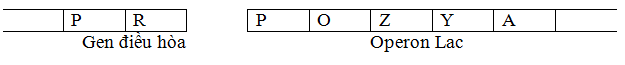 Giải bài tập Sinh học 12 | Để học tốt Sinh 12 Cau 2 Trang 18 Sinh 12