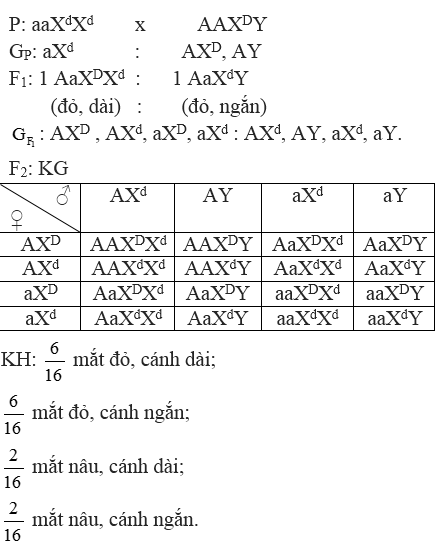 Giải bài tập Sinh học 12 | Để học tốt Sinh 12 Cau 4 Trang 67 Sinh 12