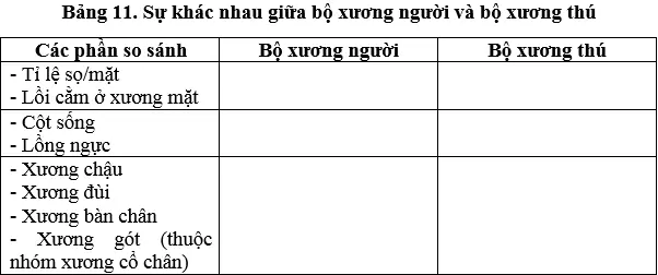 Giải bài tập Sinh học 8 | Trả lời câu hỏi Sinh 8 Tra Loi Cau Hoi Sinh 8 Bai 11 Trang 37 38