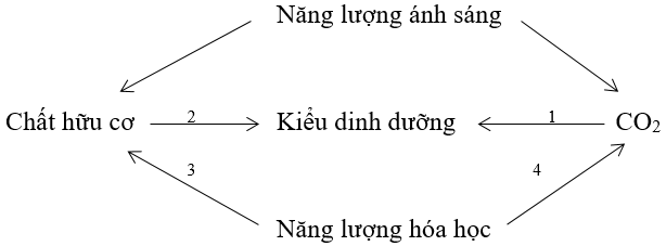 Giải bài 1 trang 129 sgk Sinh 10 | Để học tốt Sinh 10 Bai 1 Trang 129 Sgk Sinh Hoc 10