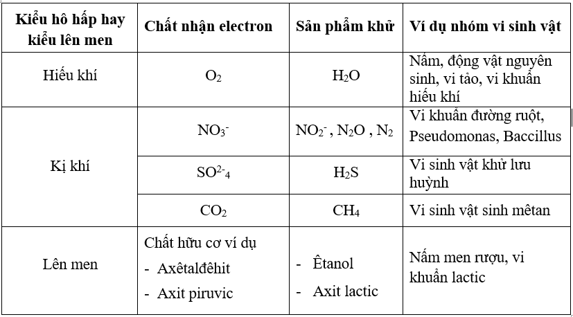 Giải bài 3 trang 129 sgk Sinh 10 | Để học tốt Sinh 10 Bai 3 Trang 129 Sgk Sinh Hoc 10 1