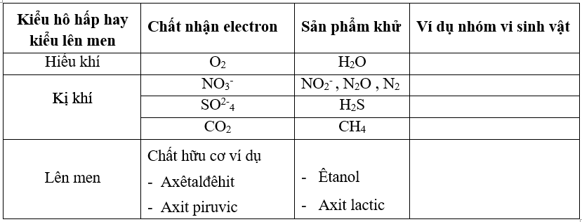 Giải bài 3 trang 129 sgk Sinh 10 | Để học tốt Sinh 10 Bai 3 Trang 129 Sgk Sinh Hoc 10