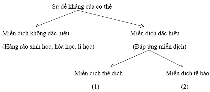 Giải bài 3 trang 131 sgk Sinh 10 | Để học tốt Sinh 10 Bai 3 Trang 131 Sgk Sinh Hoc 10