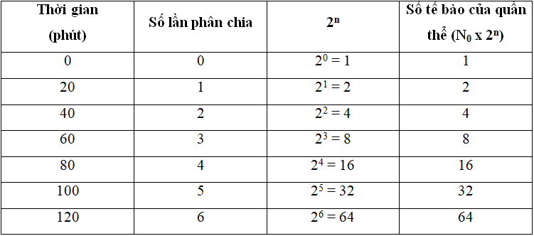 Giải bài tập Sinh 10 | Trả lời câu hỏi Sinh 10 Tra Loi Cau Hoi Sinh 10 Bai 25 Trang 99