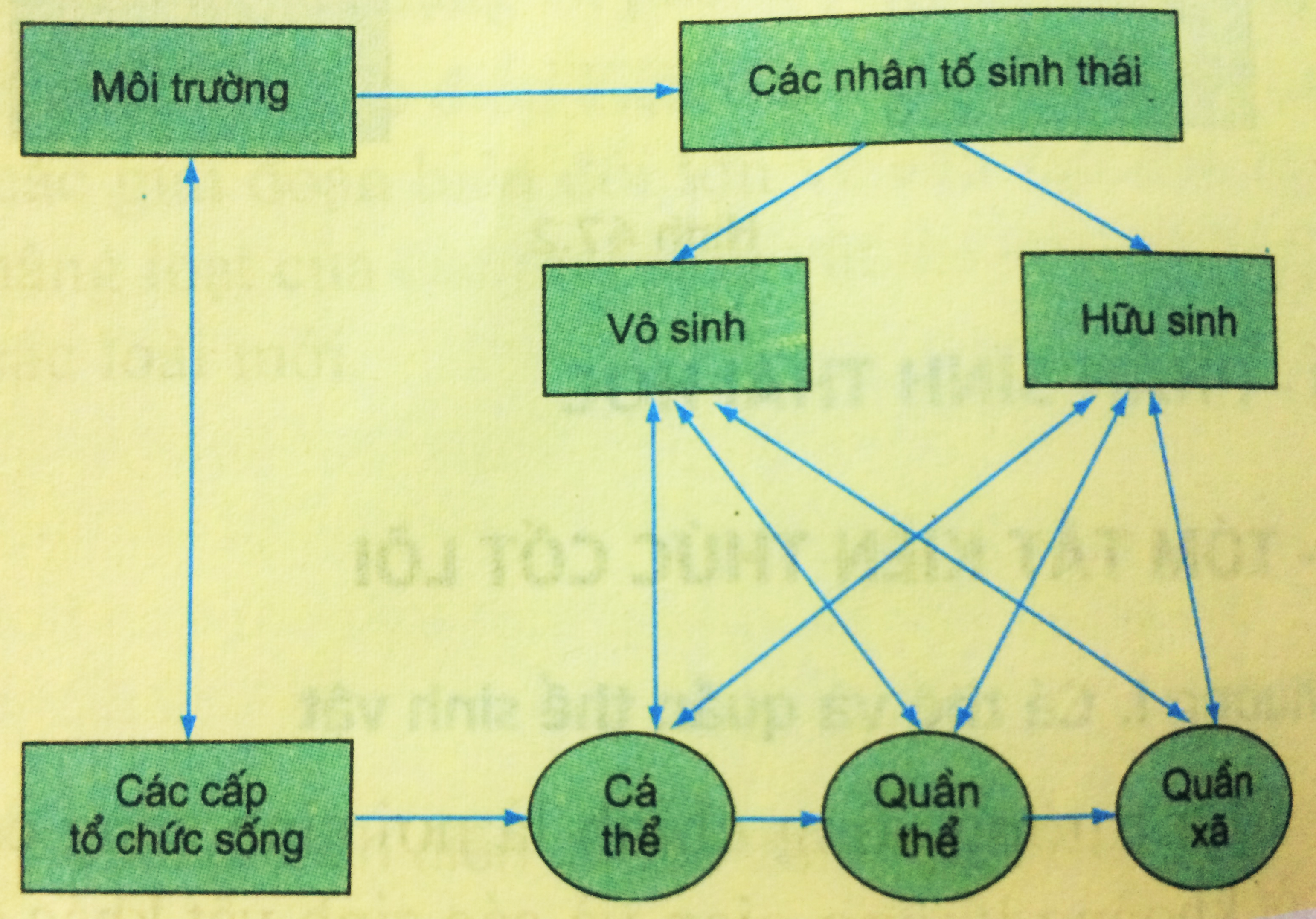 Giải bài 1 trang 214 sgk Sinh 12 | Để học tốt Sinh 12 Bai 1 Trang 214 Sgk Sinh Hoc 12