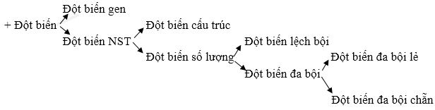 Giải bài 3 trang 102 sgk Sinh 12 | Để học tốt Sinh 12 Bai 3 Trang 102 Sgk Sinh Hoc 12