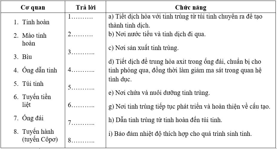 Giải bài 60 sgk Sinh 8 | Để học tốt Sinh 8 Bai 60 Co Quan Sinh Duc Nam