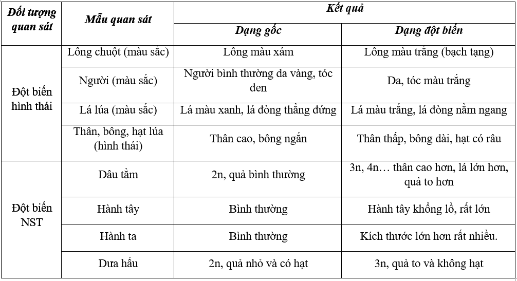 Giải bài 26 thực hành sgk Sinh 9 | Để học tốt Sinh 9 Bai 26 Thuc Hanh Sgk Sinh Hoc 9