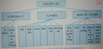 Giải bài tập Địa Lí 10 | Trả lời câu hỏi Địa Lí 10 Tra Loi Cau Hoi Dia Li 10 Bai 26 Trang 99