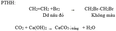 Giải bài tập Hóa học 11 | Để học tốt hóa học 11 Bai 2 Trang 138 Sgk Hoa 11 2