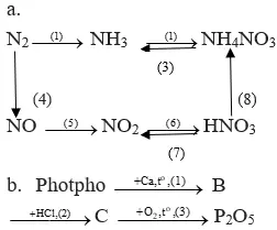 Giải bài tập Hóa học 11 | Để học tốt hóa học 11 Bai 5 Trang 62 Sgk Hoa 11 2