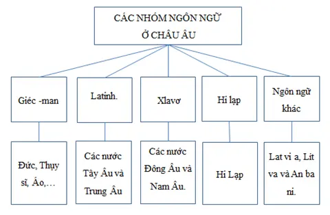 Giải sách bài tập Địa Lí 7 | Giải sbt Địa Lí 7 Cau 1 Trang 118 Sbt Dia Li 7