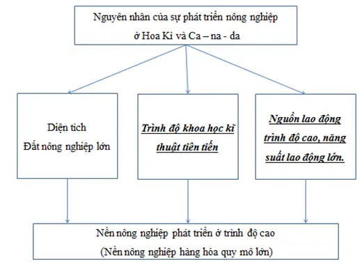 Giải sách bài tập Địa Lí 7 | Giải sbt Địa Lí 7 Cau 1 Trang 87 Sbt Dia Li 7