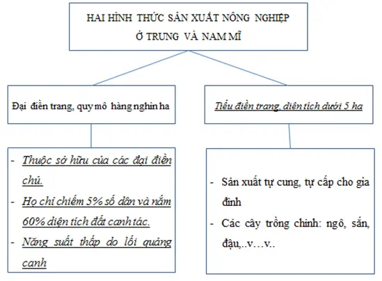 Giải sách bài tập Địa Lí 7 | Giải sbt Địa Lí 7 Cau 1 Trang 98 Sbt Dia Li 7