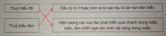 Giải sách bài tập Địa Lí 7 | Giải sbt Địa Lí 7 Cau 3 Trang 41 Sbt Dia Li 7