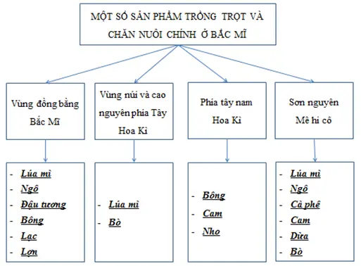 Giải sách bài tập Địa Lí 7 | Giải sbt Địa Lí 7 Cau 3 Trang 88 Sbt Dia Li 7