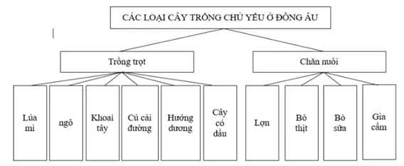 Giải sách bài tập Địa Lí 7 | Giải sbt Địa Lí 7 Cau 4 Trang 131 Sbt Dia Li 7