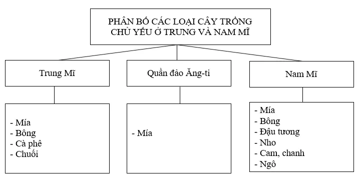 Giải sách bài tập Địa Lí 7 | Giải sbt Địa Lí 7 Cau 4 Trang 99 Sbt Dia Li 7