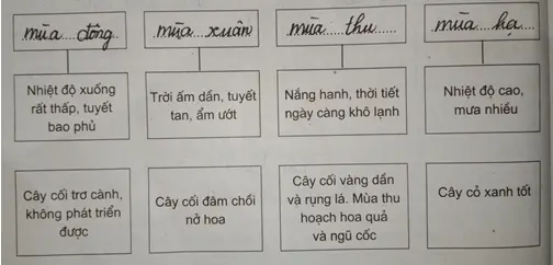 Giải sách bài tập Địa Lí 7 | Giải sbt Địa Lí 7 Cau 5 Trang 32 Sbt Dia Li 7