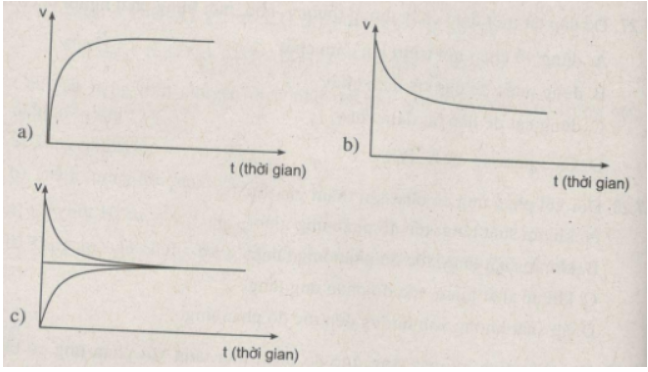 Giải sách bài tập Hóa học 10 | Giải sbt Hóa học 10 Bai 8 Trang 87 Sbt Hoa Hoc 10