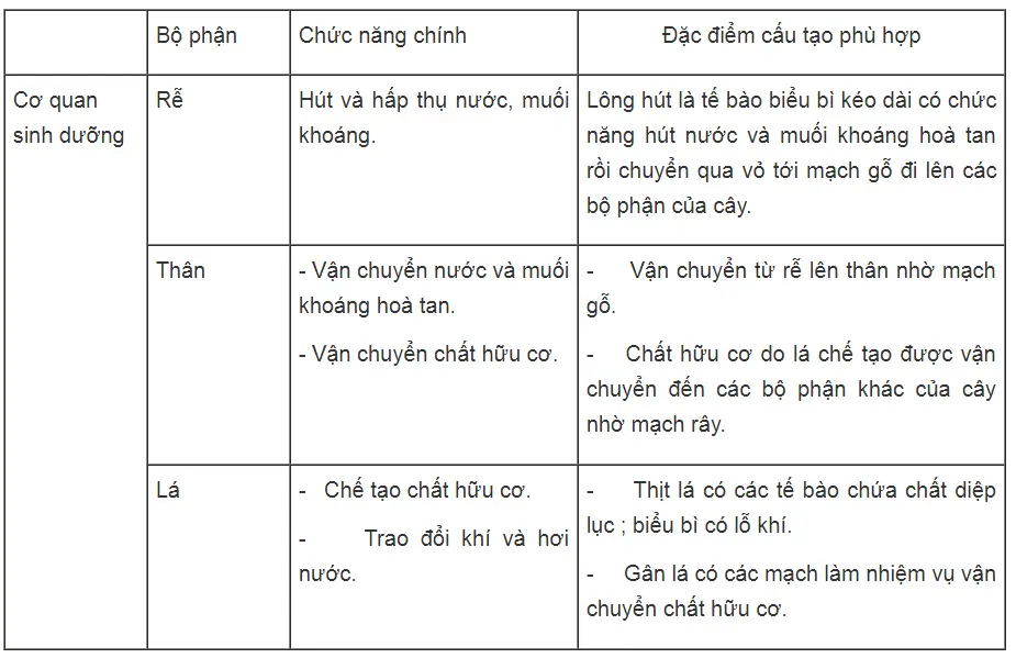 Bài tập có lời giải trang 58, 59, 60, 61 SBT Sinh học 6 | Giải sách bài tập Sinh học 6 hay nhất tại SachGiaiBaiTap Chuong 7 Qua Va Hat 2