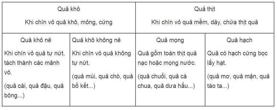 Bài tập có lời giải trang 58, 59, 60, 61 SBT Sinh học 6 | Giải sách bài tập Sinh học 6 hay nhất tại SachGiaiBaiTap Chuong 7 Qua Va Hat