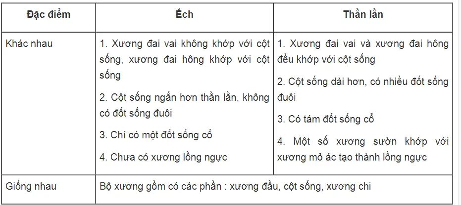 Bài tập có lời giải trang 82, 83, 84, 85, 86 SBT Sinh học 7 | Giải sách bài tập Sinh học 7 hay nhất Bai Tap Co Loi Giai Trang 82 83 84 85 86 Sbt Sinh Hoc 7 2