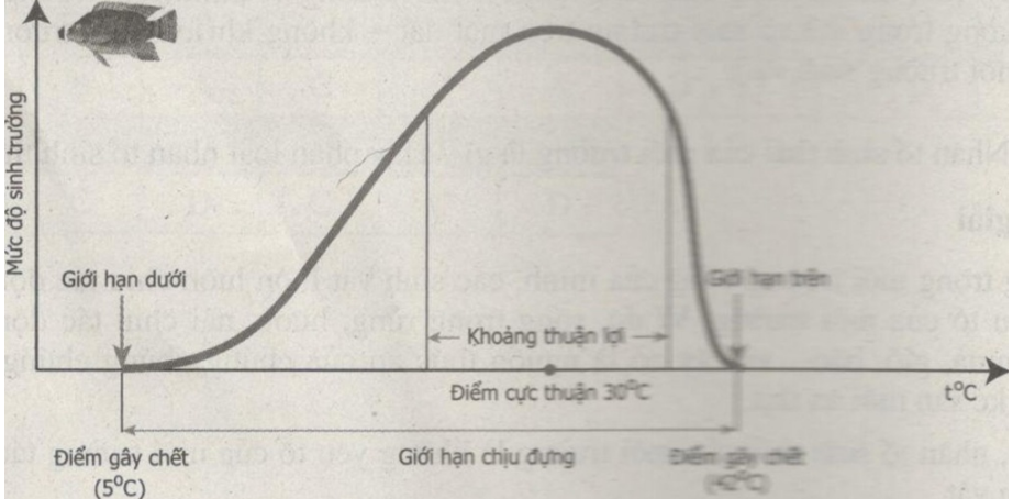 Bài tập tự luận trang 74, 75, 76 SBT Sinh học 9 | Giải sách bài tập Sinh học 9 hay nhất tại SachGiaiBaiTap Bai Tap Tu Luan Trang 74 75 76 Sbt Sinh Hoc 9 2