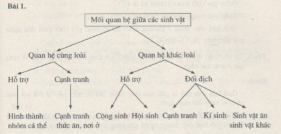 Bài tập tự luận trang 74, 75, 76 SBT Sinh học 9 | Giải sách bài tập Sinh học 9 hay nhất tại SachGiaiBaiTap Bai Tap Tu Luan Trang 74 75 76 Sbt Sinh Hoc 9