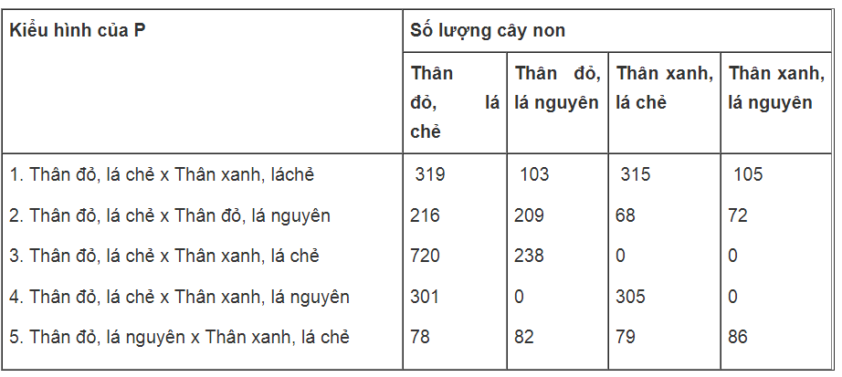 Bài tập tự luận trang 8, 9, 10, 11 SBT Sinh học 9 | Giải sách bài tập Sinh học 9 hay nhất tại SachGiaiBaiTap Bai Tap Tu Luan Trang 8 9 10 11 Sbt Sinh Hoc 9 1