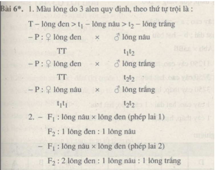 Bài tập tự luận trang 8, 9, 10, 11 SBT Sinh học 9 | Giải sách bài tập Sinh học 9 hay nhất tại SachGiaiBaiTap Bai Tap Tu Luan Trang 8 9 10 11 Sbt Sinh Hoc 9