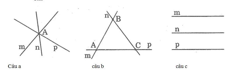 Giải sách bài tập Toán 6 | Giải bài tập Sách bài tập Toán 6 Bai 17 Trang 125 Sach Bai Tap Toan 6 Tap 1 1