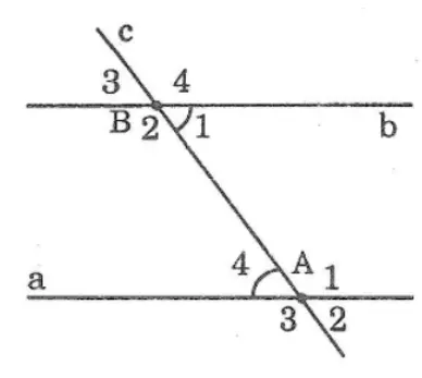 Giải sách bài tập Toán 7 | Giải sbt Toán 7 Bai 18 Trang 104 Sach Bai Tap Toan 7 Tap 1