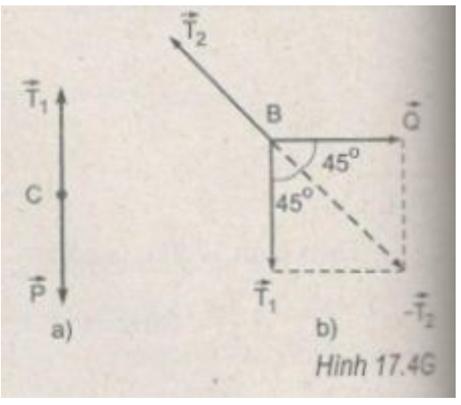 Giải sách bài tập Vật Lí 10 | Giải sbt Vật Lí 10 Bai 4 Trang 42 Sbt Vat Li 10 2