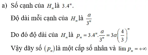 Giải Toán 11 nâng cao | Giải bài tập Toán lớp 11 nâng cao Bai 20 Trang 143 Sgk Dai So Va Giai Tich 11 Nang Cao 2