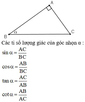 Giải bài tập Toán 10 | Giải Toán lớp 10 Tra Loi Cau Hoi Toan 10 Hinh Hoc Bai 1 Trang 35 4