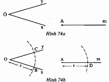 Giải bài 22 trang 115 Toán 7 Tập 1 | Giải bài tập Toán 7 Bai 22 Trang 115 Sgk Toan 7 Tap 1 1