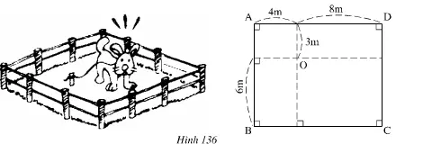 Giải bài 62 trang 133 Toán 7 Tập 1 | Giải bài tập Toán 7 Bai 62 Trang 133 Sgk Toan 7 1 Tap 1