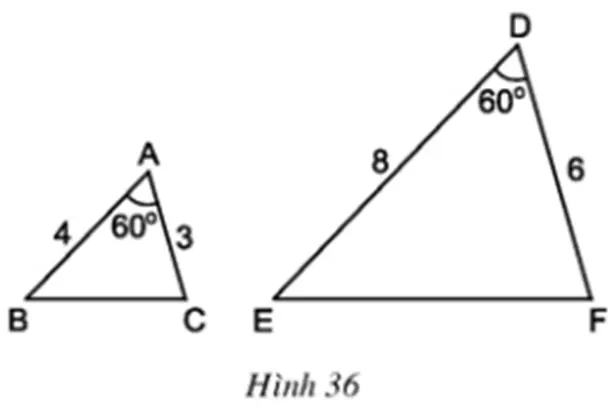 Để học tốt Toán 8 | Giải toán lớp 8 Tra Loi Cau Hoi Toan 8 Tap 2 Bai 6 Trang 75 3
