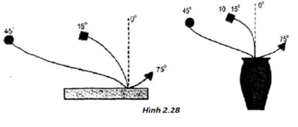 Giải vở bài tập Công nghệ 6 | Giải VBT Công nghệ 6 Bai 14 Thuc Hanh Cam Hoa 2