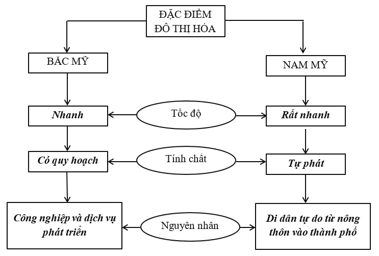 Giải vở bài tập Địa Lí 7 | Giải VBT Địa Lí 7 Bai 3 Trang 95 Vbt Dia Li 7