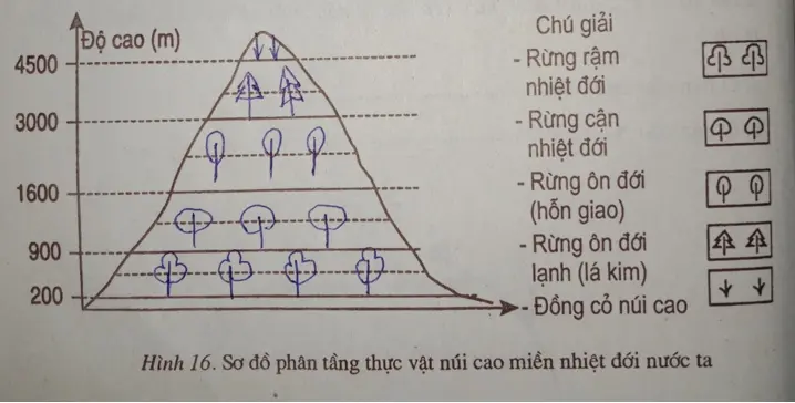 Giải vở bài tập Địa Lí 7 | Giải VBT Địa Lí 7 Bai 4 Trang 52 Vbt Dia Li 7