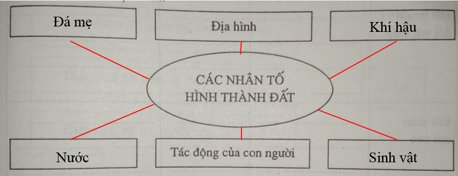 Giải vở bài tập Địa Lí 8 | Giải VBT Địa Lí 8 Bai 1 Trang 67 Vbt Dia Li 8 1